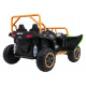 Arctic Cat Buggy Green