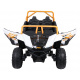 Buggy Vehicle Arctic Cat White