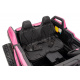Buggy RTR Monster Speed 4x4 Pink