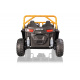 Arctic Cat Buggy Green