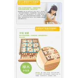 Wooden Logic Puzzle