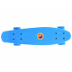 FISZKA colour skateboard SP0575