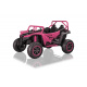 Arctic Cat Buggy Pink