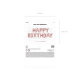 Balloon Decoration Happy Birthday 340cm x 35cm Pink