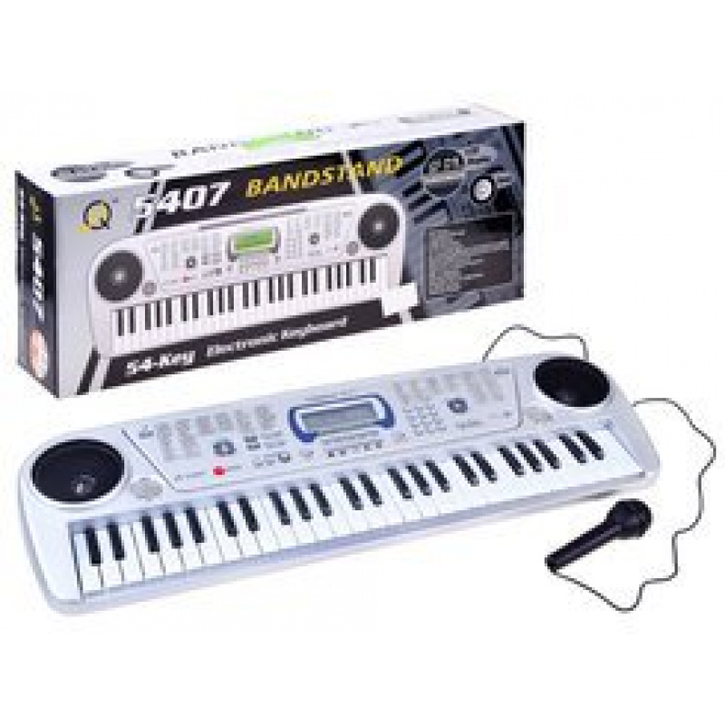 Organ with microphone MQ5407 54 keys IN0116