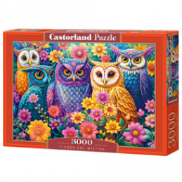 Puzzle 3000-piece Flower Owl Meeting C-300723-2 universal