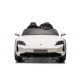 Porsche Taycan Turbo S White Vehicle