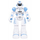 Multifunctional Robot SMART-BOT
