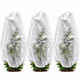 Aga Plant Cover AGO2142