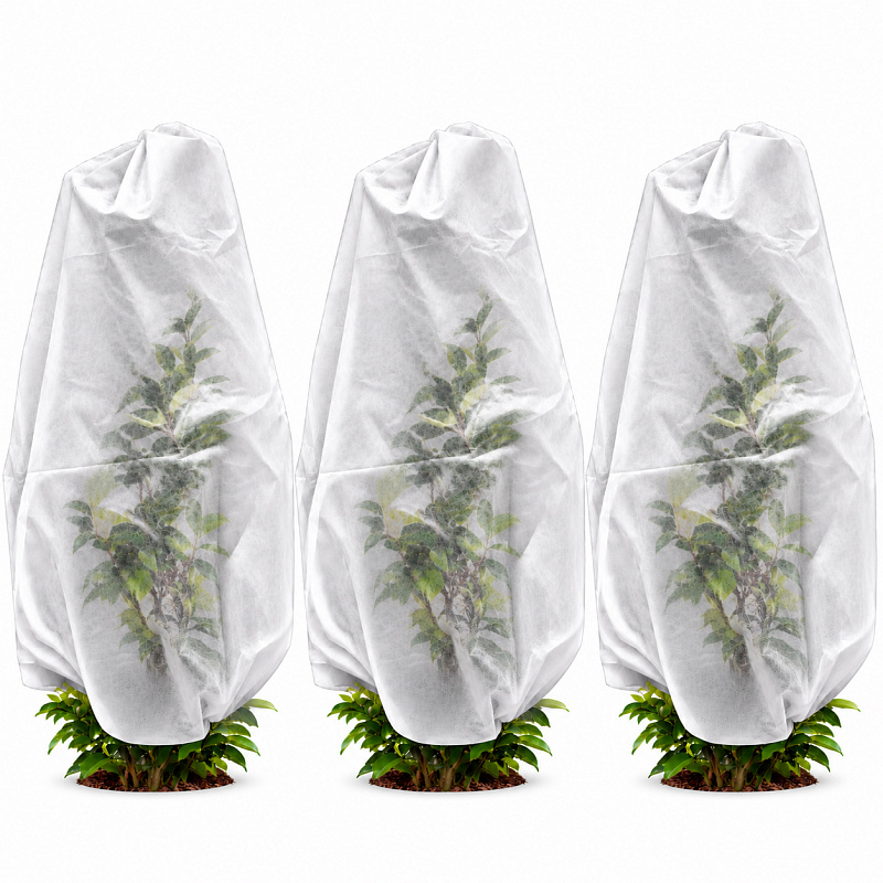 Aga Plant Cover AGO2142
