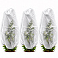 Aga Plant Cover AGO2142