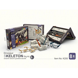 Little Archaeologist Set