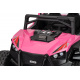 Buggy RTR Monster Speed 4x4 Pink