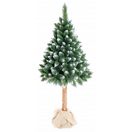 Aga Christmas tree 220 cm with trunk