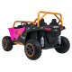 Arctic Cat Buggy Pink