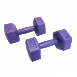 F18B DUMBBELLS WEIGHTS FOR EXERCISE 2X2KG