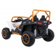 Buggy Vehicle Arctic Cat White