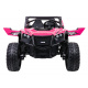 Buggy RTR Monster Speed 4x4 Pink