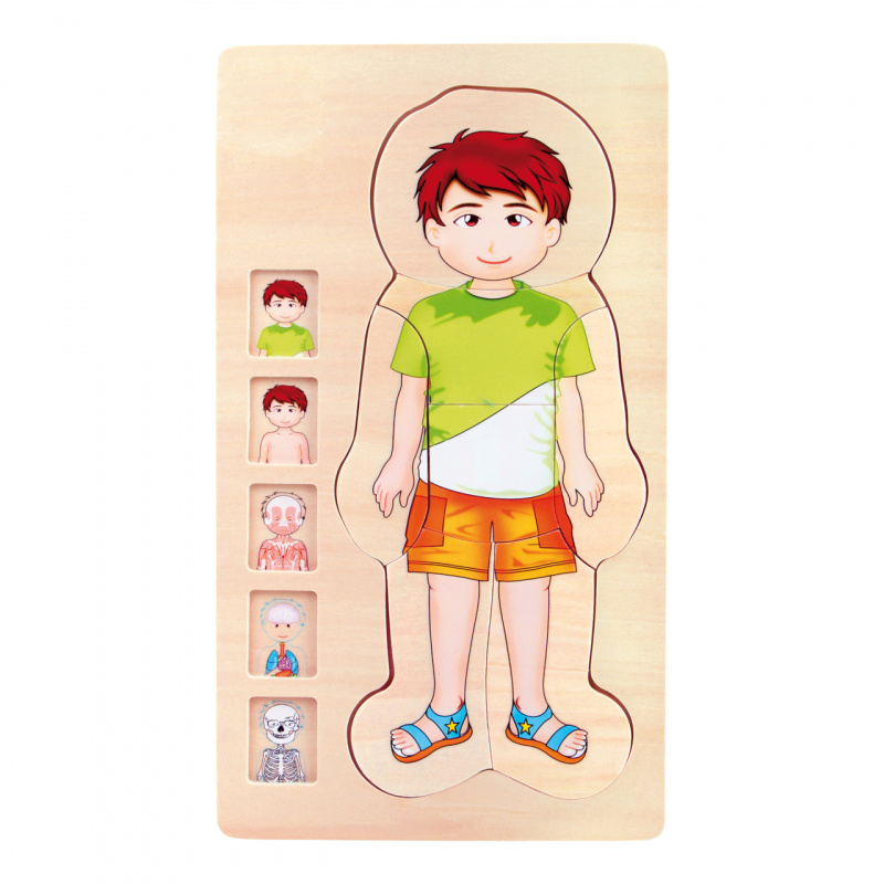 Small Foot Wooden Toys Anatomy Puzzle Tim 2DZ168 - II. QUALITY