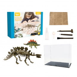Aga4Kids Set for Little Paleontologists Stegosaurus