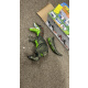 Aga4Kids Interactive Dinosaur T-Rex - 2DZ254 - 2. QUALITY