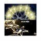 Linder Exclusiv Christmas Light Chain 48 LED Stars Warm White