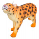 Set of 18 animals. Safari