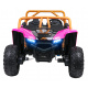 Arctic Cat Buggy Pink
