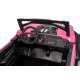 Buggy RTR Monster Speed 4x4 Pink