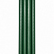 Aga Plant Support Rod 180 cm 10pcs