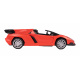 Aga RC remote control racing car 1:18